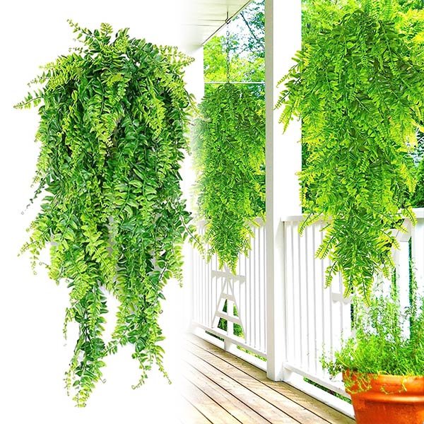Dekoratív függő növény - Fernleaves