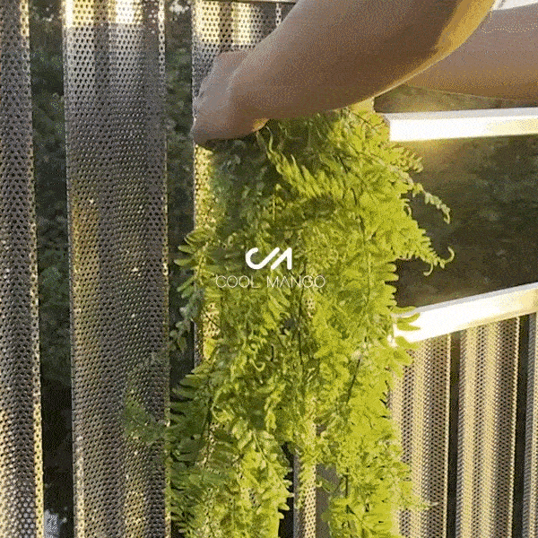 Dekoratív függő növény - Fernleaves