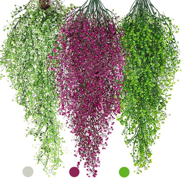 Dekoratív függőnövény - Ivyplant