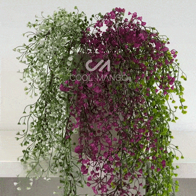 Dekoratív függőnövény - Ivyplant