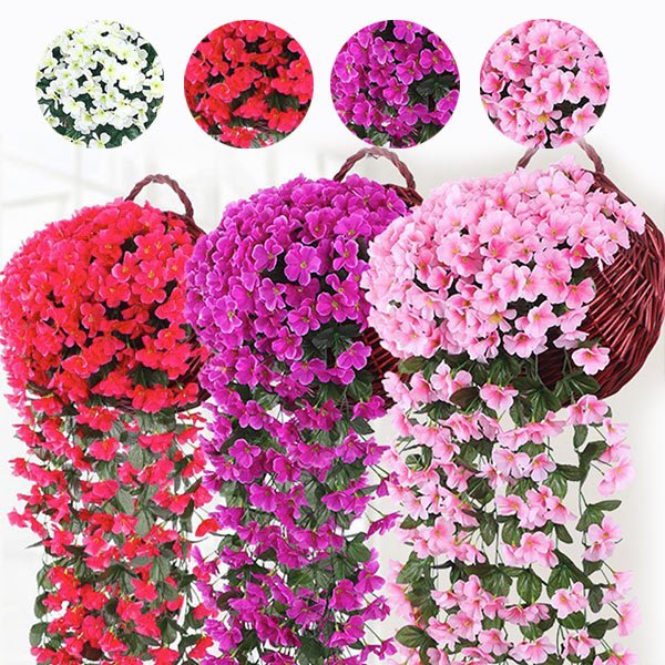 Dekoratív függő virág - Hangyplant